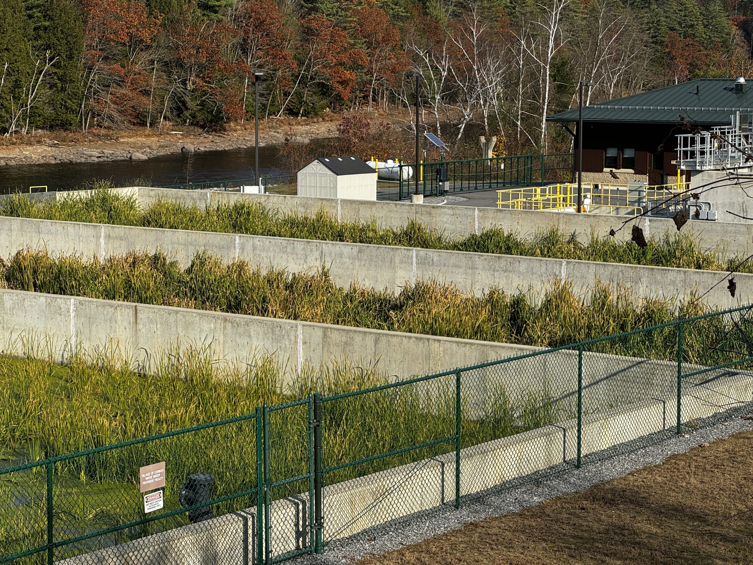 Planted sludge beds up and working.